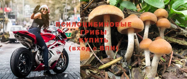 дживик Армянск