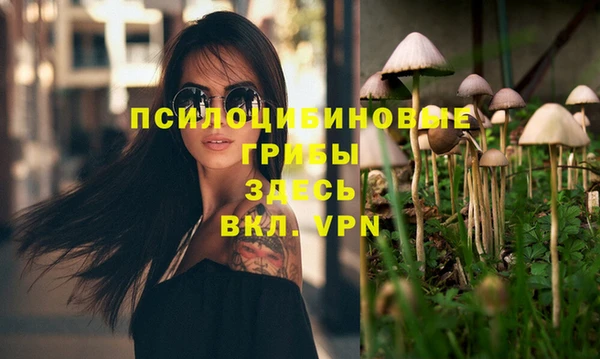 дживик Армянск