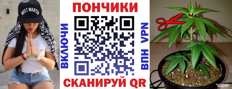 как найти наркотики  Нолинск  Конопля марихуана 
